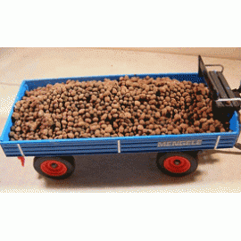 Aardappelen Aardappelen
