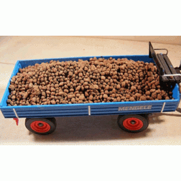 Aardappelen Aardappelen