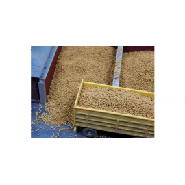 Juweela Aardappels - 75 gram Juweela Aardappels - 75 gram