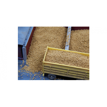 Juweela Aardappels - 75 gram