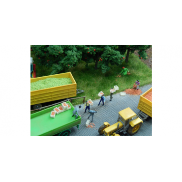 Juweela Boomvruchten Groen - 25 gram