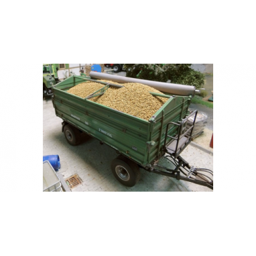 CEREALS - GRAINS 150gr