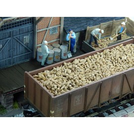 Suikerbieten Suikerbieten