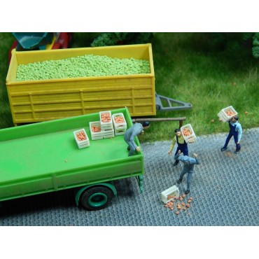 Appels groen 25gr Appels groen 25gr