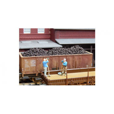 Bruinkool - groot 20 gr