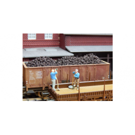 Bruinkool - groot 60 gr