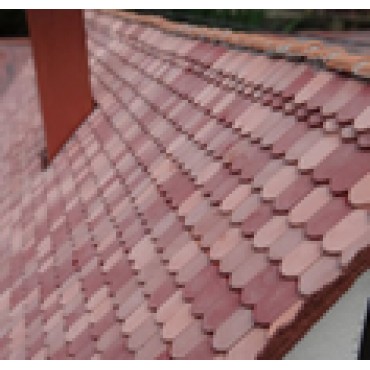 DakBouwstenen beverstaart Oud Rood 500 stuks DakBouwstenen beverstaart Oud Rood 500 stuks